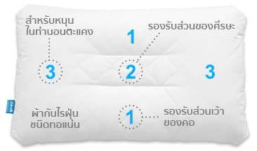 หมอนกันไรฝุ่น
